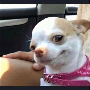 Meet your Posher, Thomas